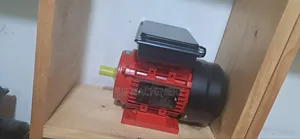 Dinamo or Motor