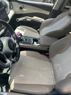 BYD Yuan Plus 2023 Gray