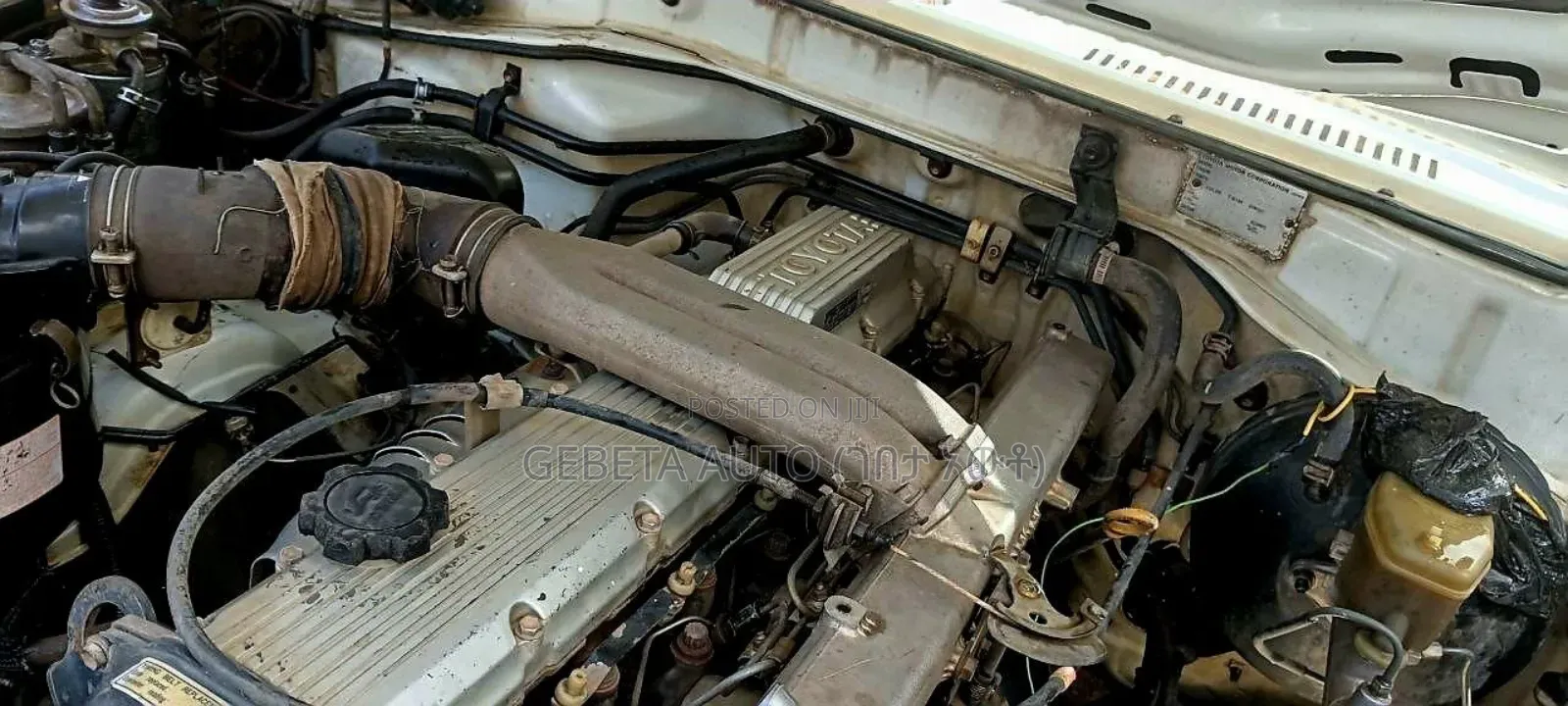 Toyota Land Cruiser 2003 White