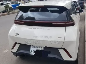 BYD Seagull 2024 White
