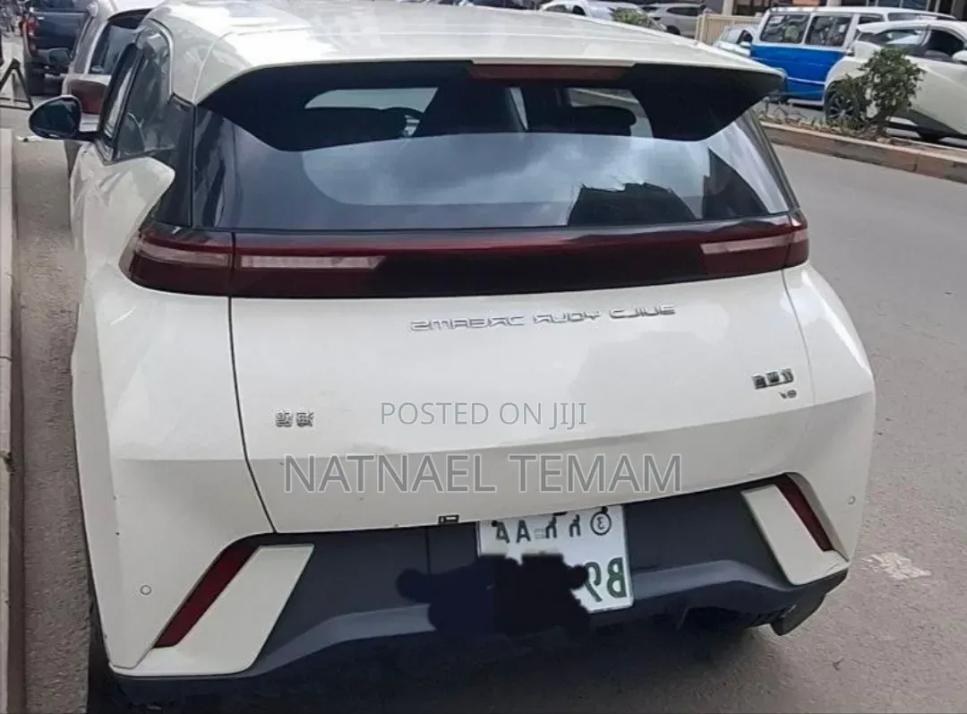 BYD Seagull 2024 White