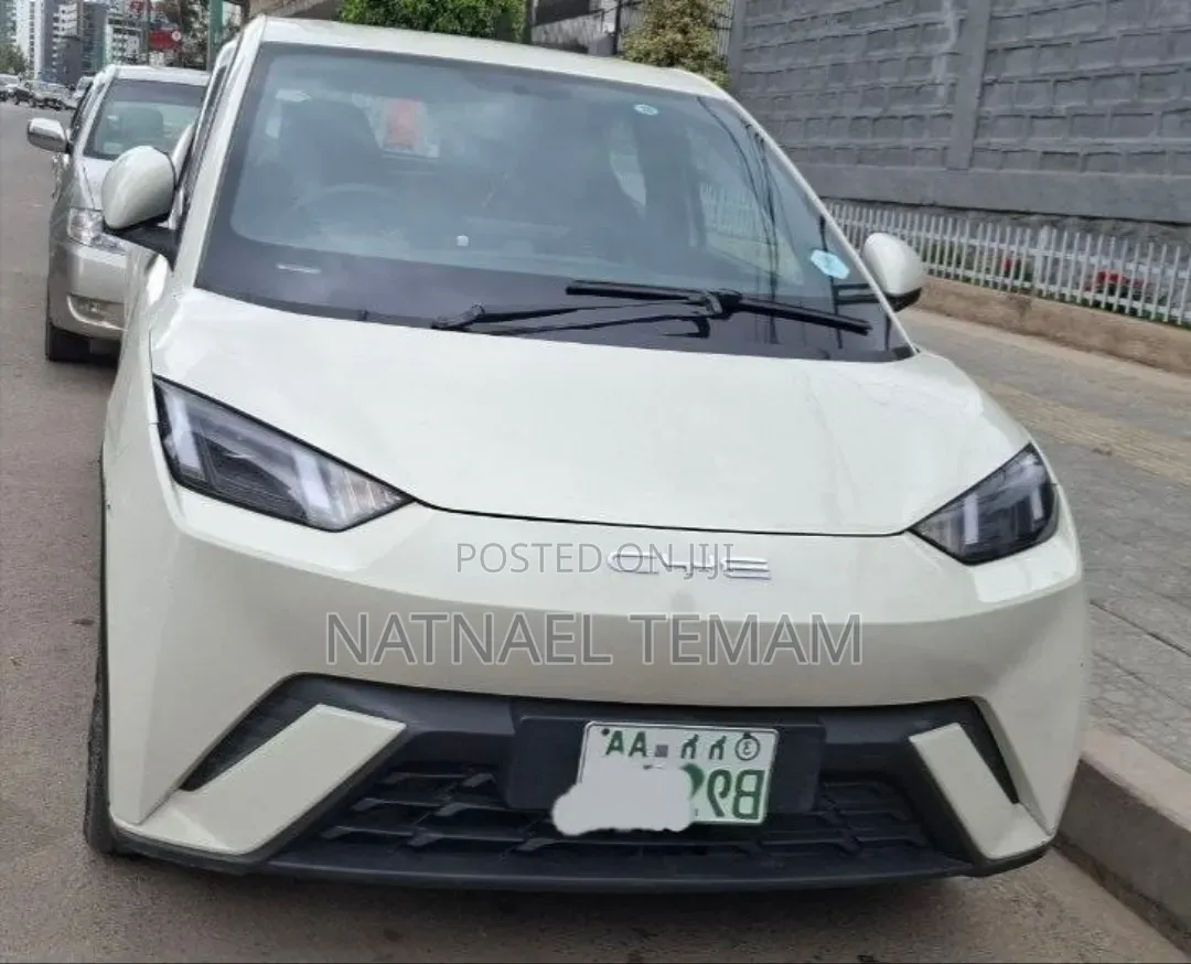 BYD Seagull 2024 White