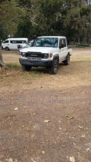 Toyota Land Cruiser 2002 White