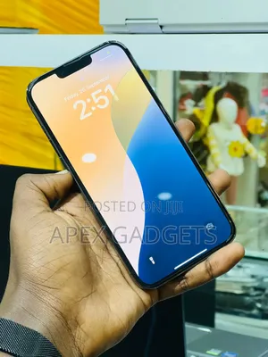 Apple iPhone 13 Pro Max 256 GB