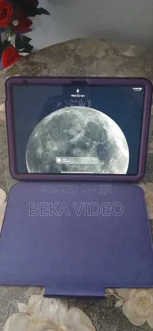 Apple iPad (2022) 256 GB Pink