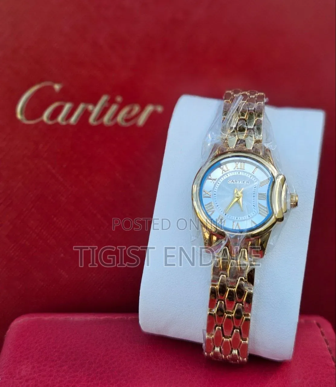 Women's Watch for a Gift