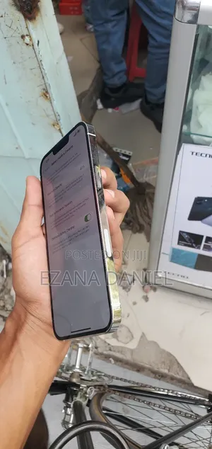 Apple iPhone 13 Pro Max 128 GB White