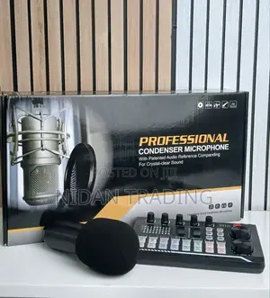 Bm800 Microphone