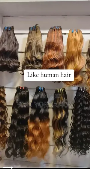 Like Human Heir