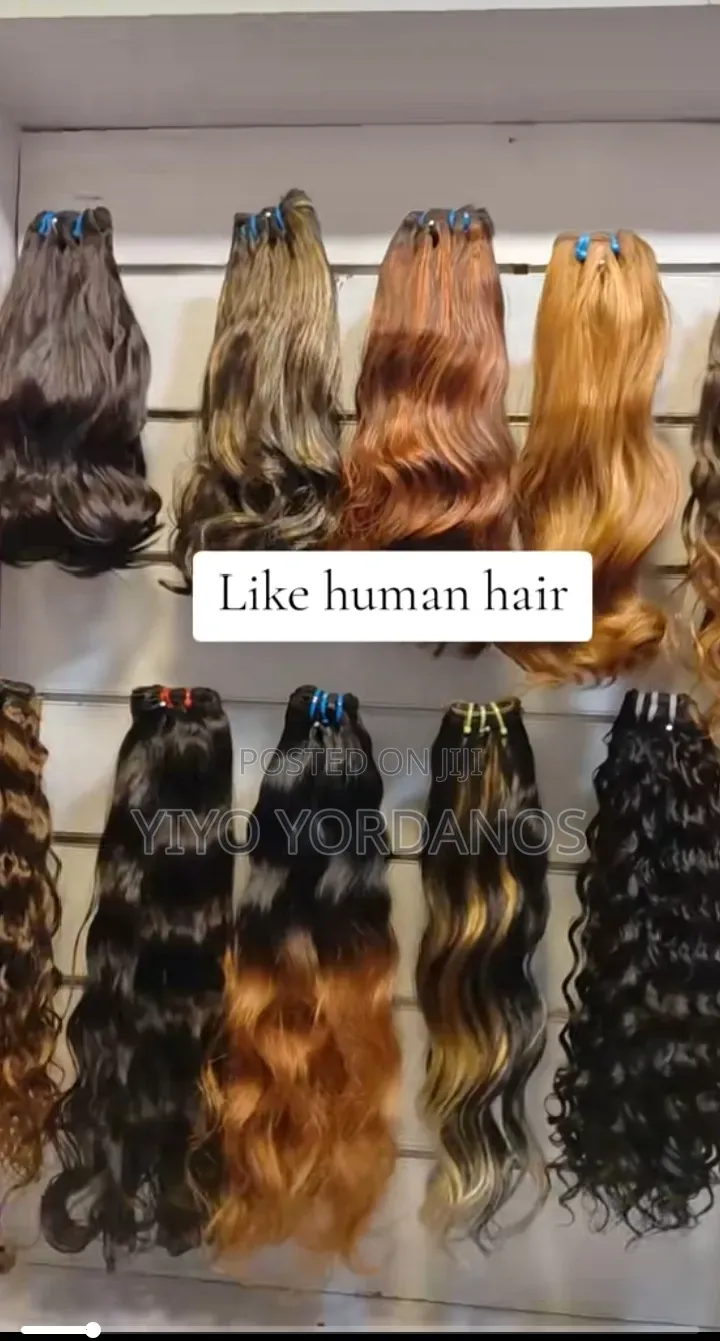 Like Human Heir