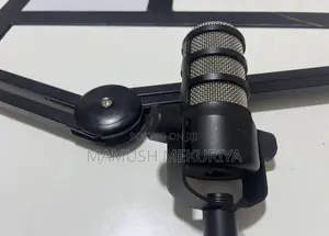 Rode Podcast Mic With Stand