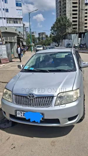 Toyota Corolla 2007 Gray