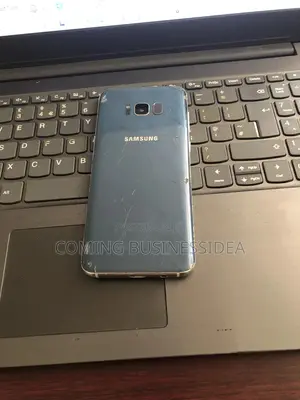 Samsung Galaxy S8 Plus 64 GB Silver