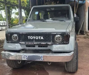 Toyota Land Cruiser 1990 Gray