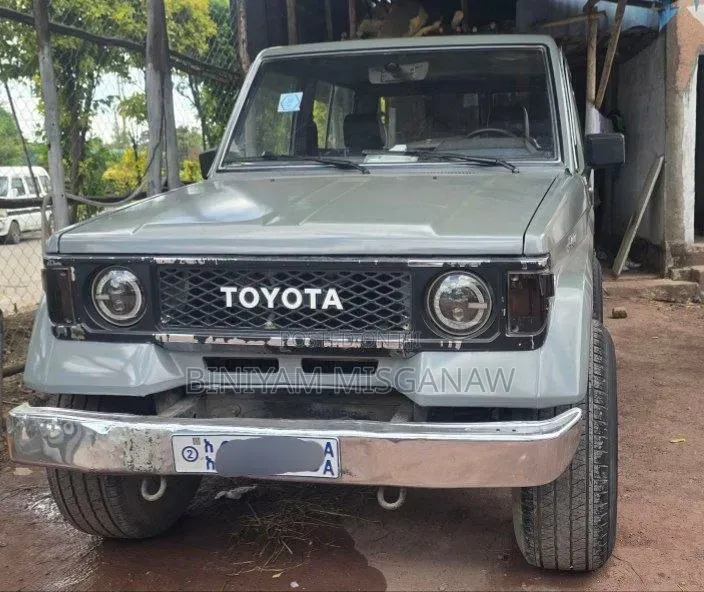 Toyota Land Cruiser 1990 Gray