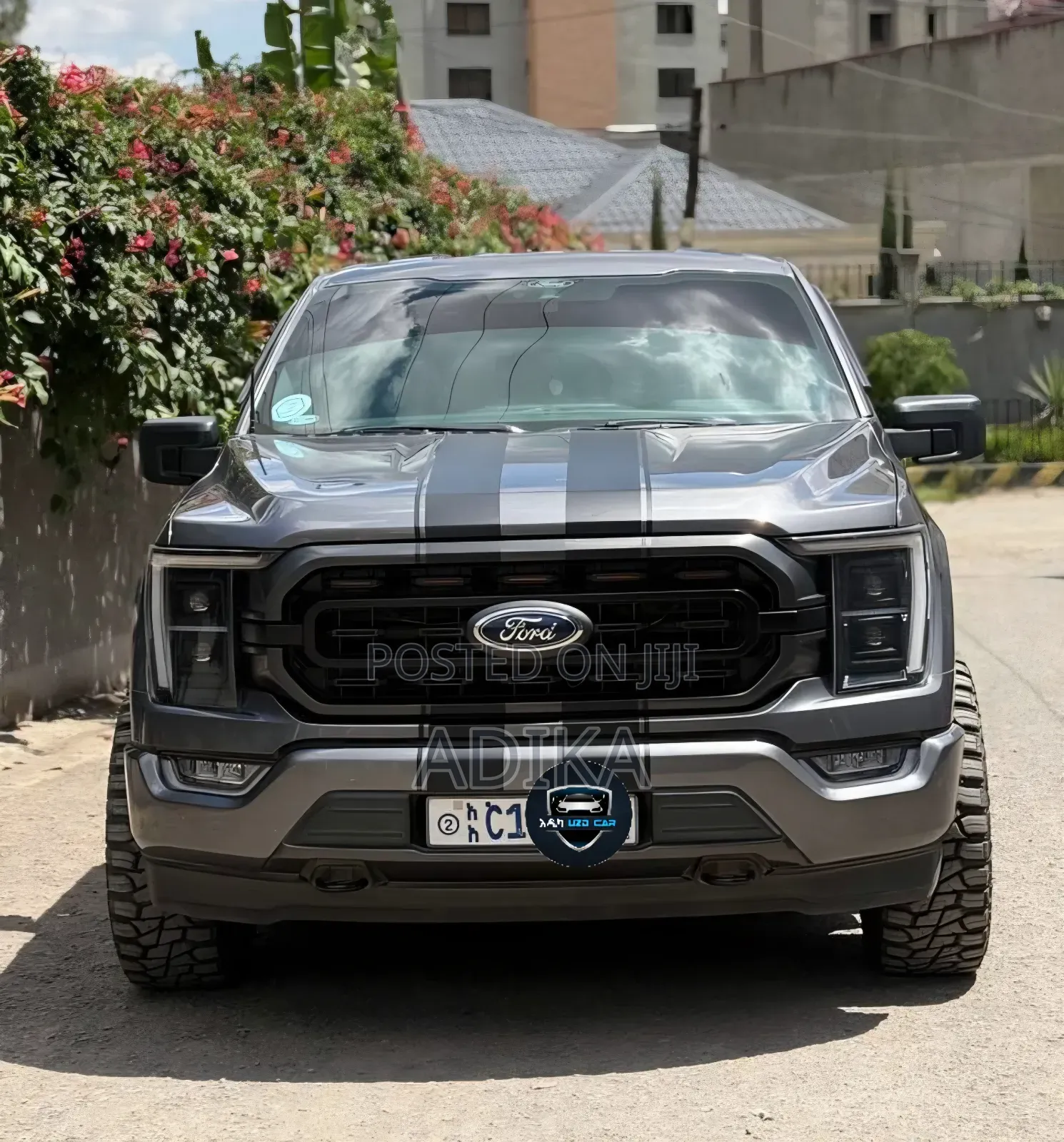 Ford F-150 2022 Gray