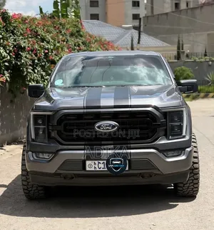 Ford F-150 2022 Gray