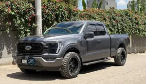 Ford F-150 2022 Gray