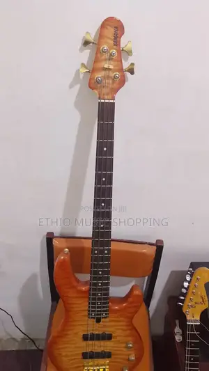 Bass Guitar
