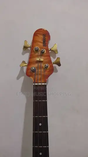 Bass Guitar