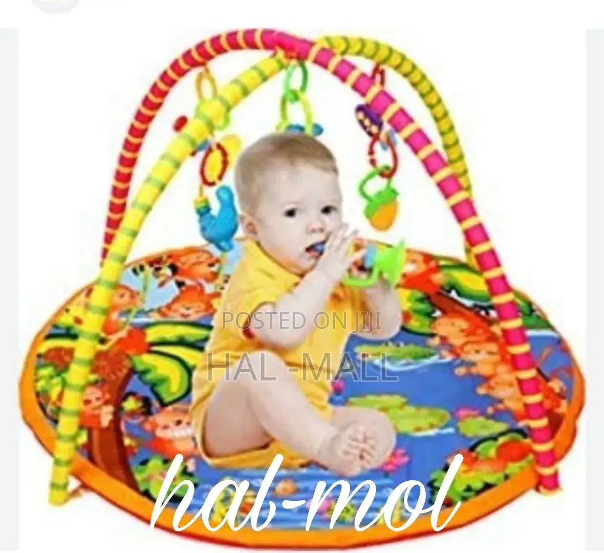 Colourfully Play Gym