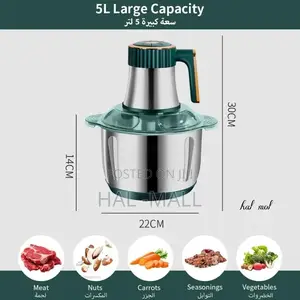 Foodking Electric Onion Chopper and Meat Grinder