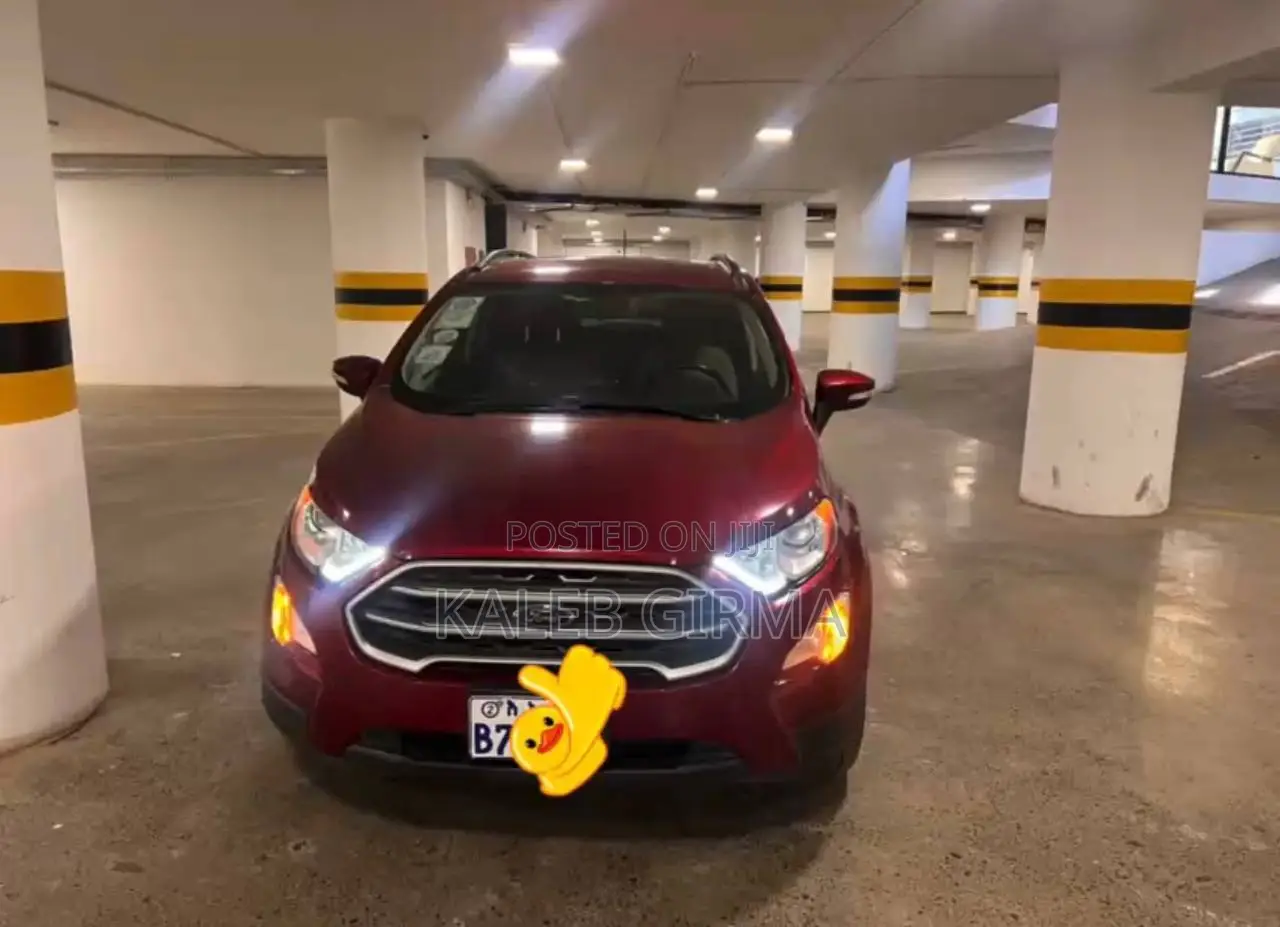 Ford Ecosport 2019 Burgundy