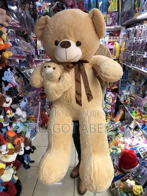 Teddy Bear Dolls in Different Colors and Sizes