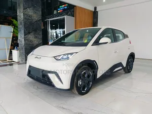 New BYD Seagull 2025