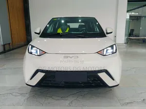 New BYD Seagull 2025