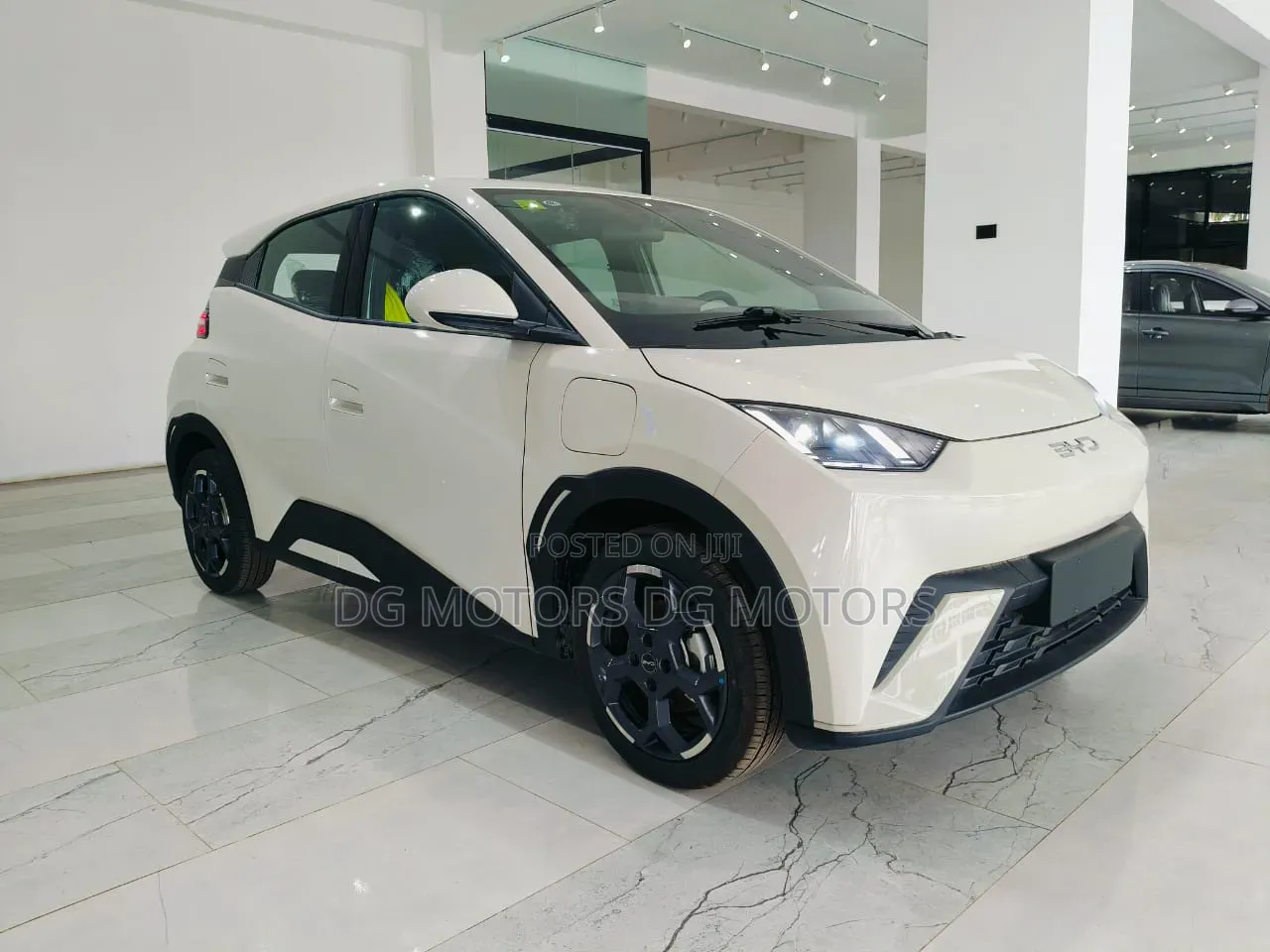 New BYD Seagull 2025