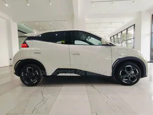 New BYD Seagull 2025
