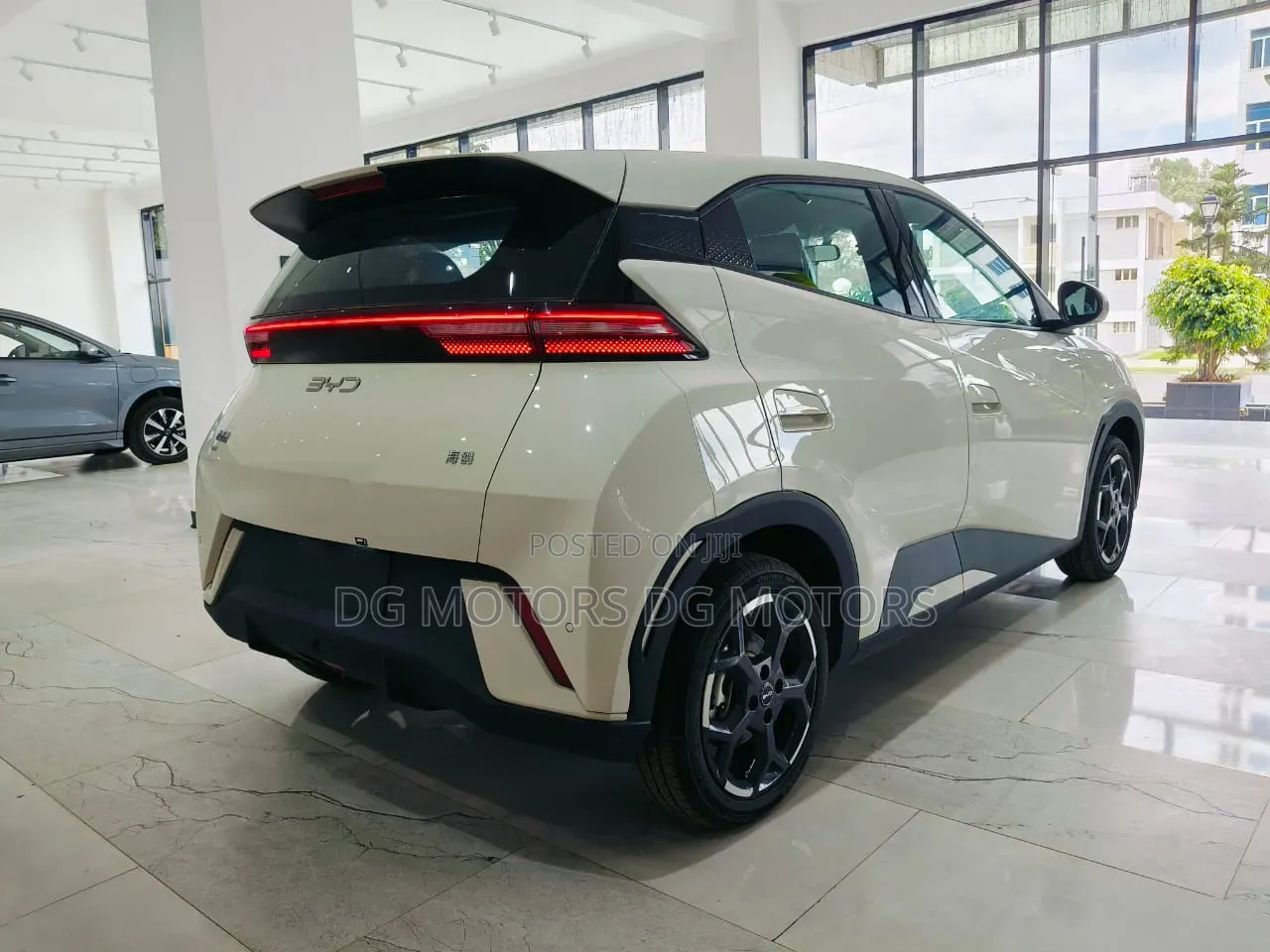 New BYD Seagull 2025