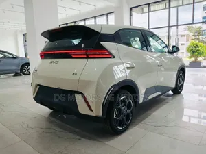 New BYD Seagull 2025