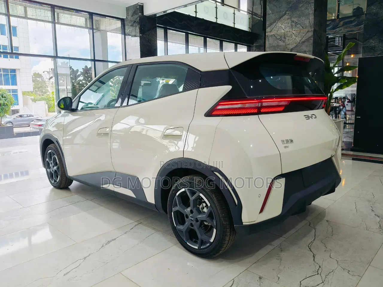 New BYD Seagull 2025