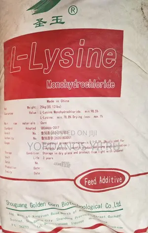 Lysine Aminoacid