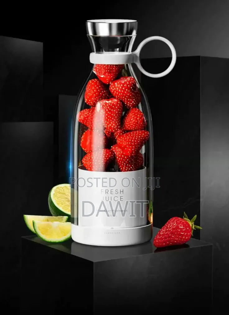 Mini Juicer