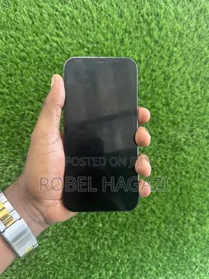 Apple iPhone 12 Pro Max 256 GB Blue