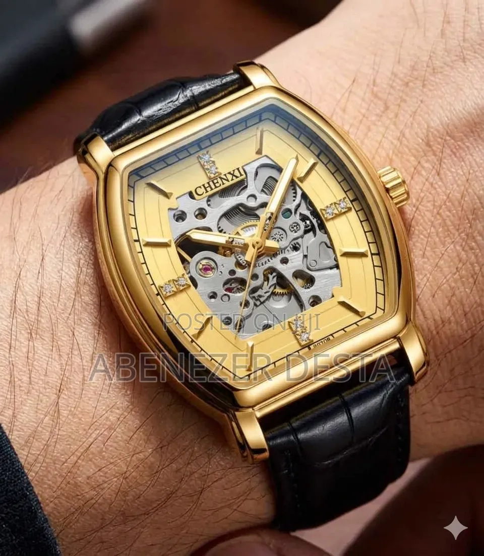 Chenxi 8815 Is a Gold-Tone Automatic Mechanical Men's Watch Featuring