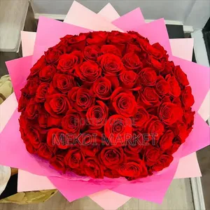 100 Pic Red Rose Flower