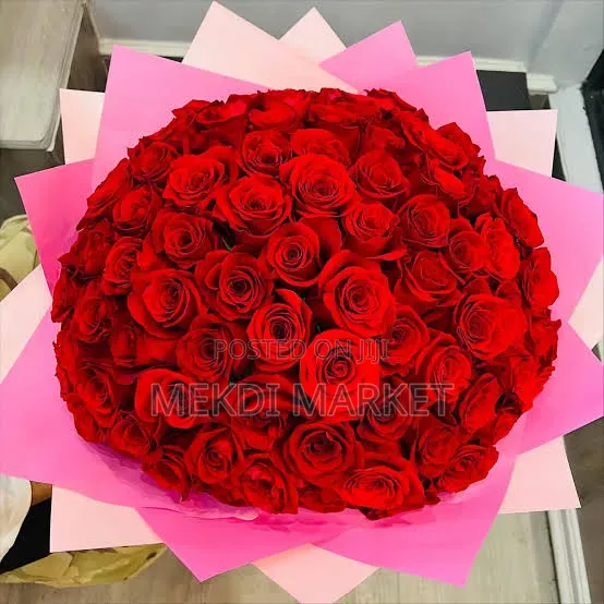 100 Pic Red Rose Flower