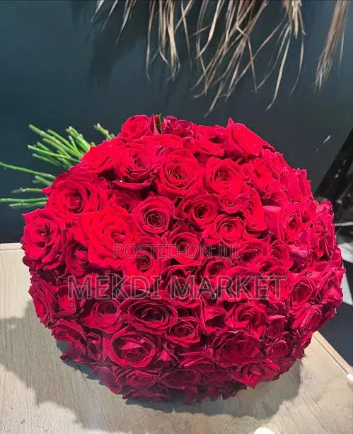 100 Pic Red Rose Flower