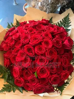 100 Pic Red Rose Flower