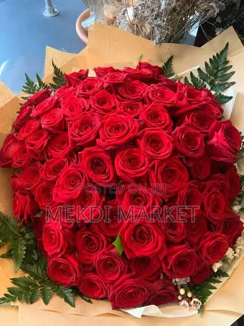 100 Pic Red Rose Flower