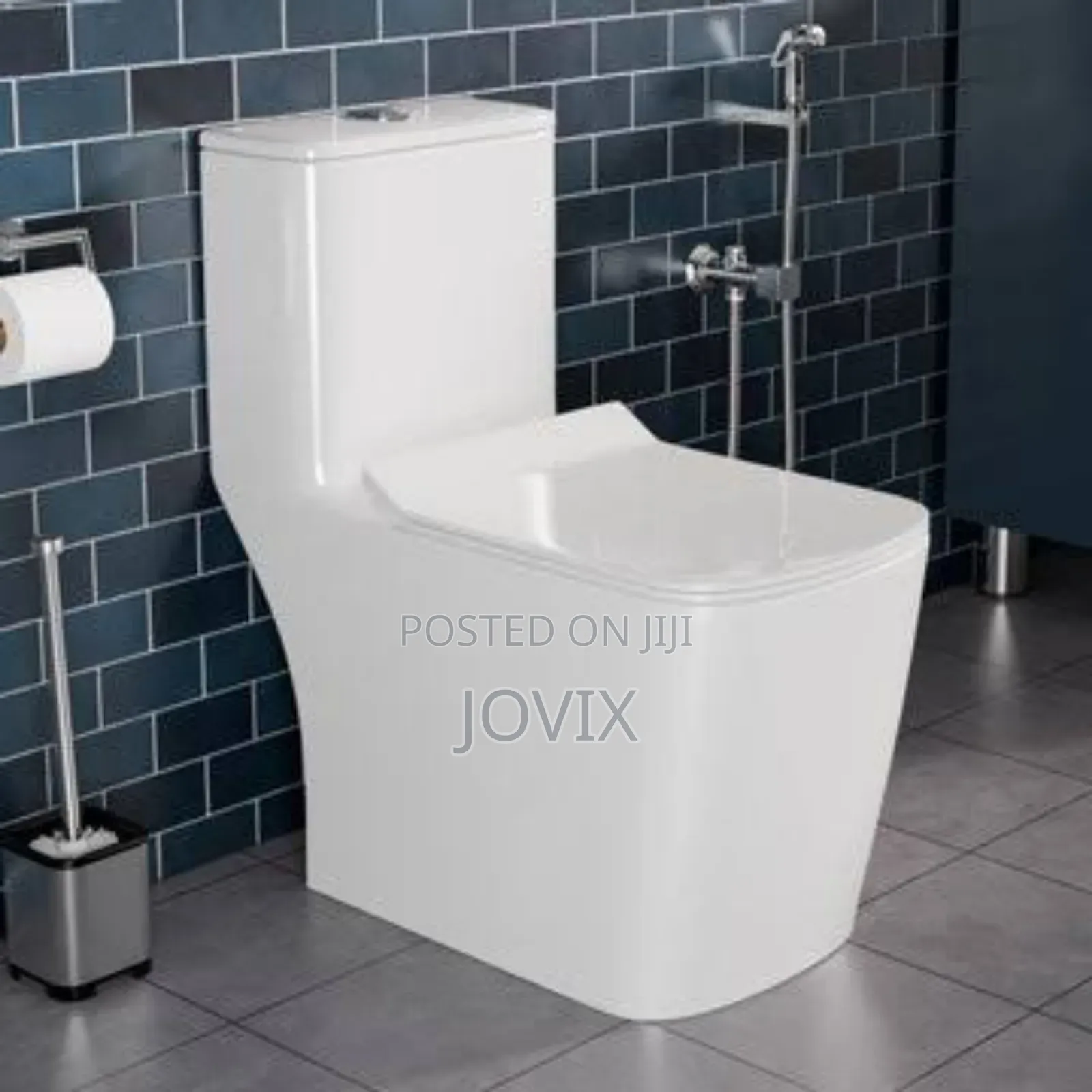 Toilet Seat