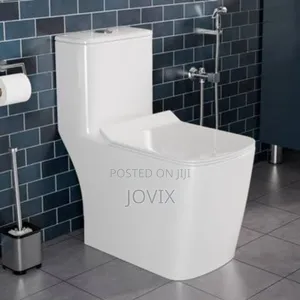 Toilet Seat