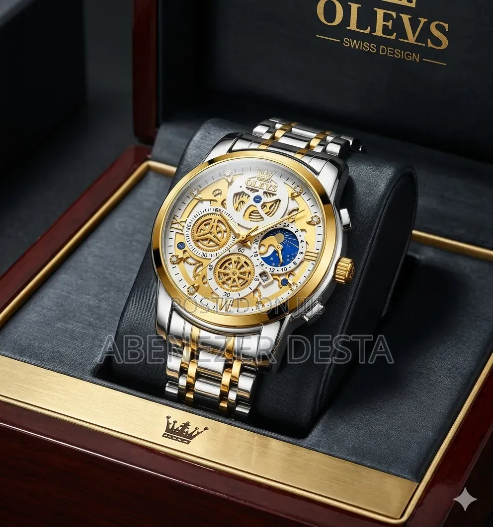 Olevs Men's Automatic Skeleton Wristwatch, Featuring a Two-Tone Stainl