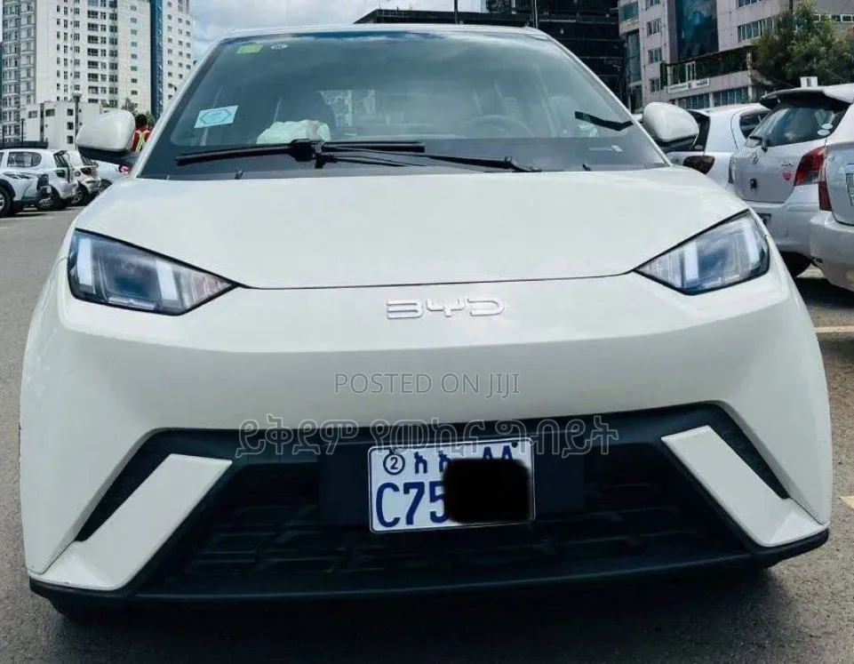 BYD Seagull 2025 White