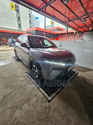 BYD Yuan Up 45 kWh FWD 2024 Gray