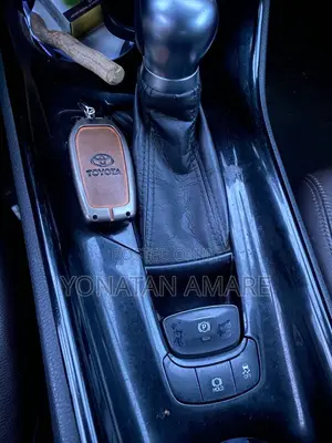 Toyota C-HR 2017 Brown